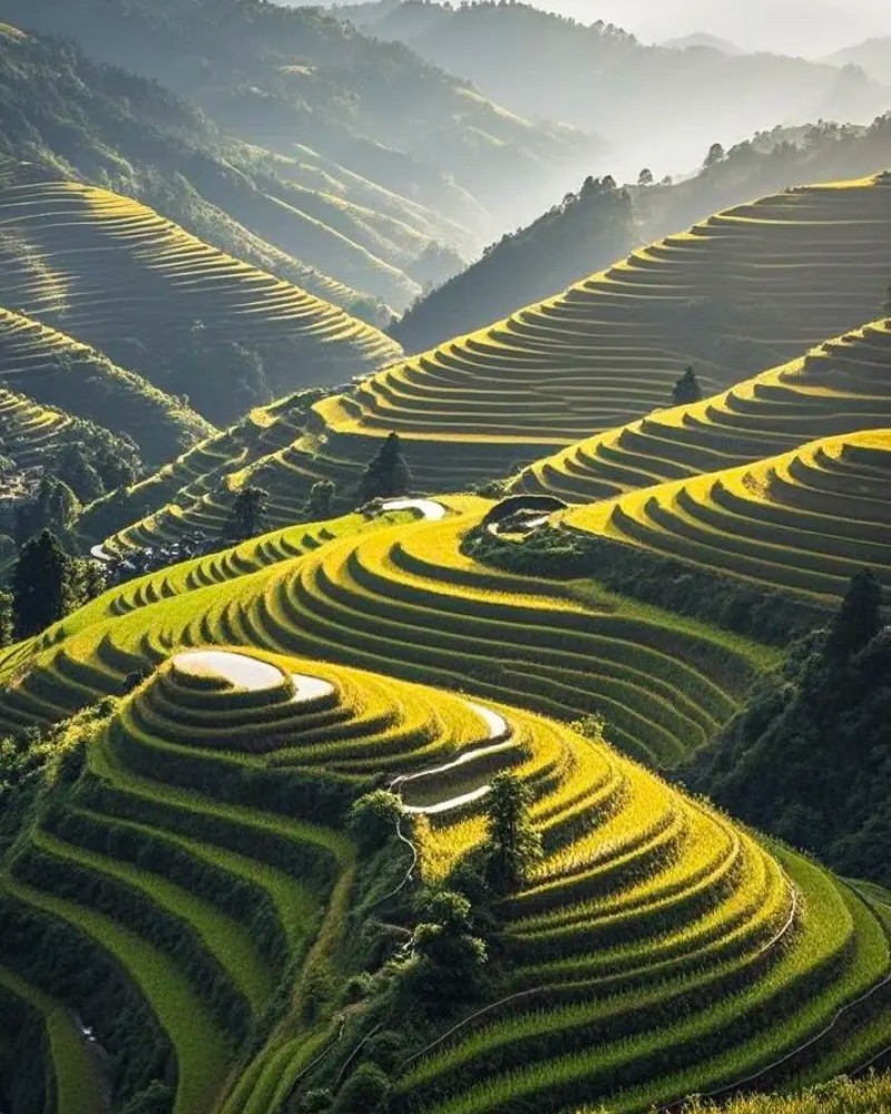 hình ảnh ruộng bậc thang