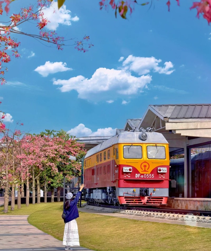 hình ảnh tàu hỏa đẹp 17