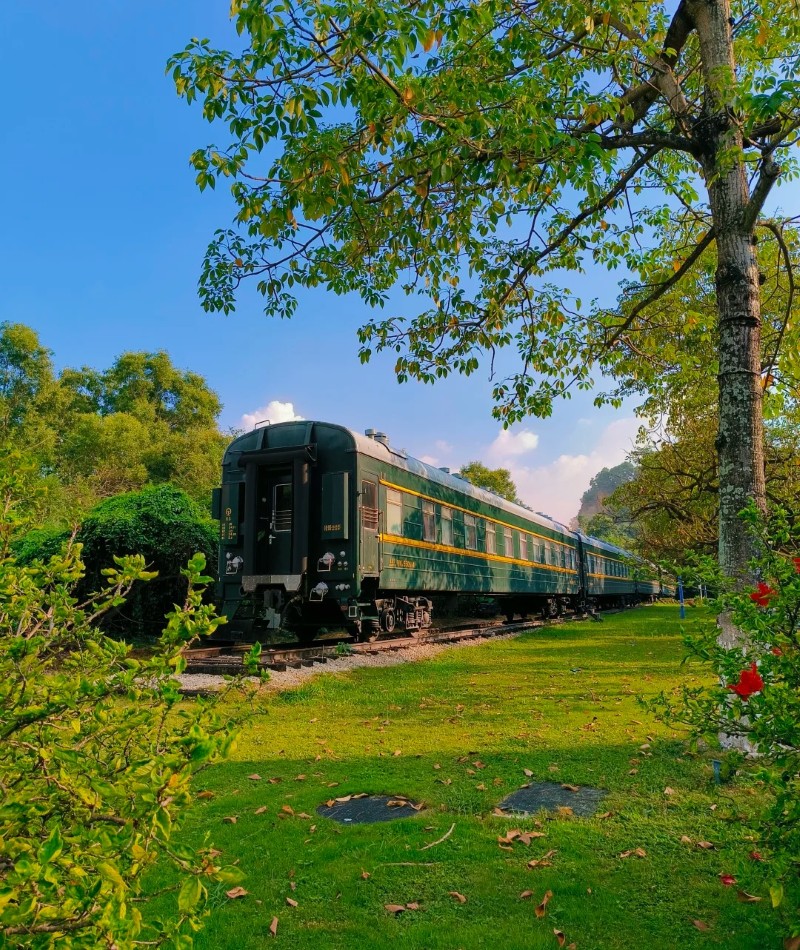 hình ảnh tàu hỏa đẹp 37