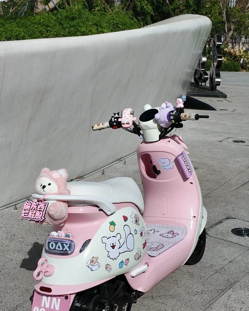 hình ảnh xe độ 33