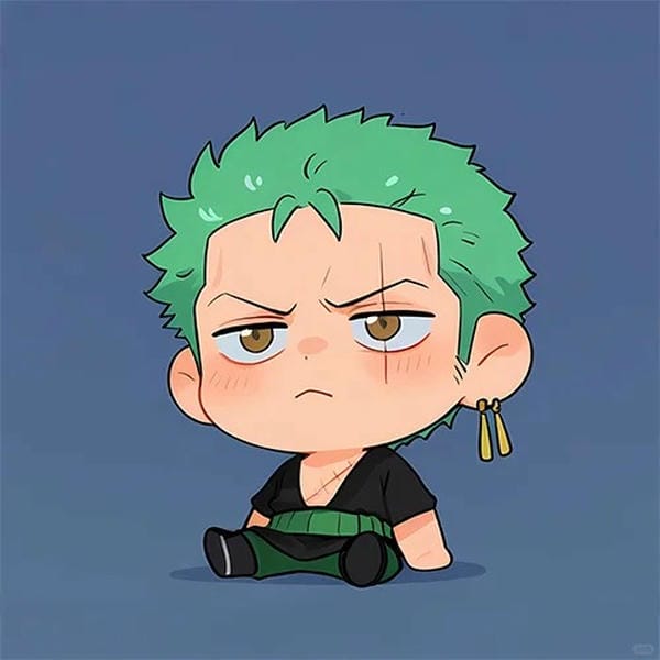 zoro chibi (13)
