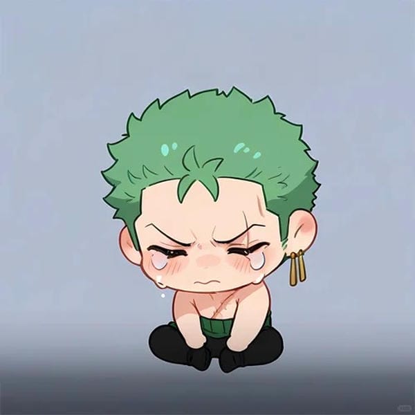 zoro chibi (16)