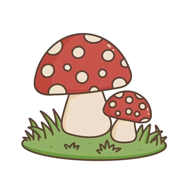 nấm chibi (13)