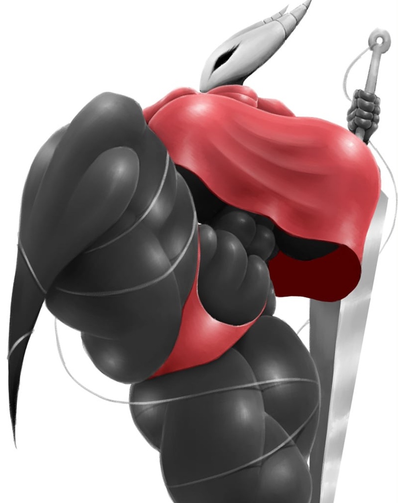 ảnh hollow knight r34 23